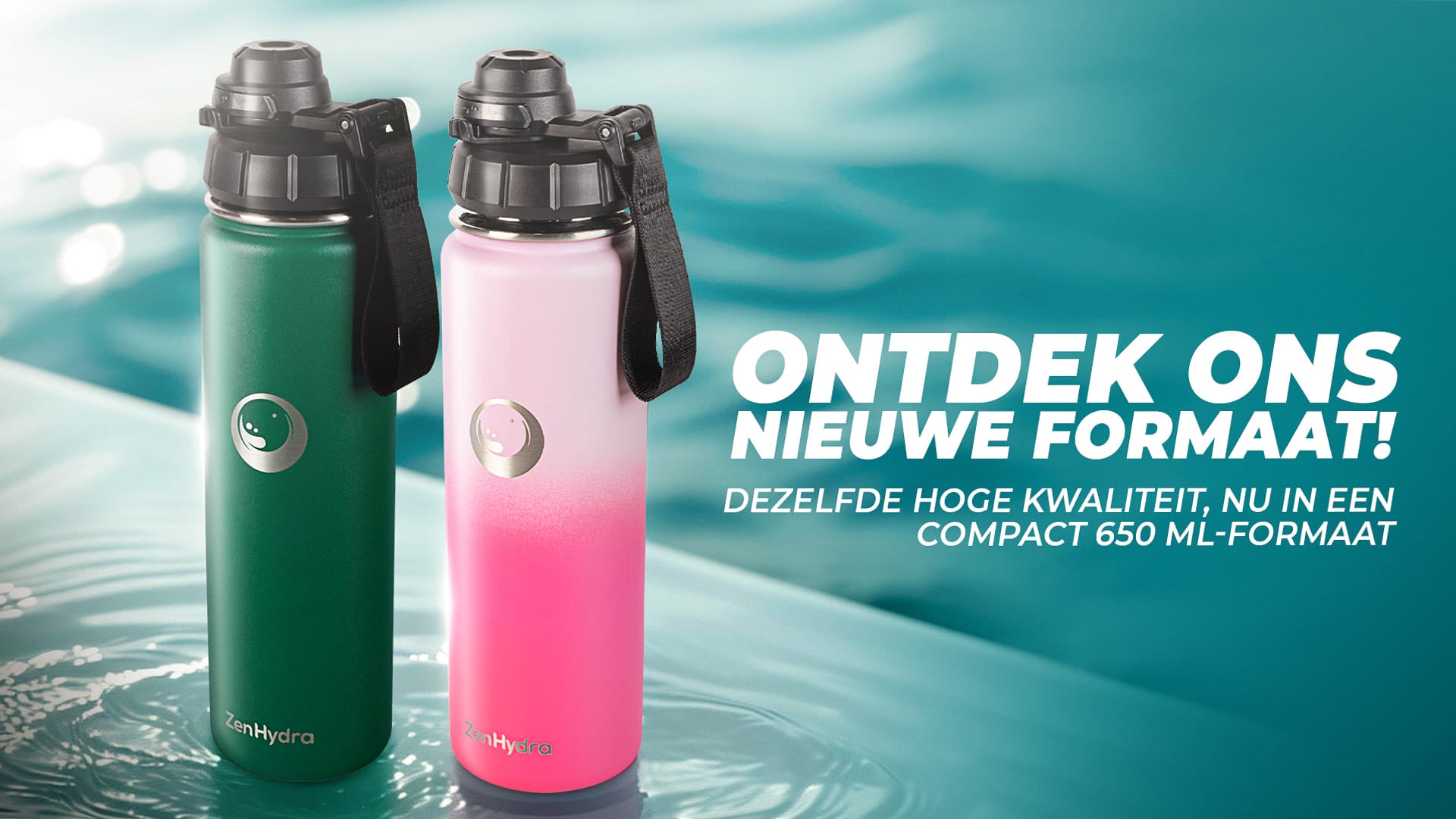 2 flessen 650 ml 